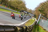 Oulton-Park-21st-March-2020;PJ-Motorsport-Photography-2020;anglesey;brands-hatch;cadwell-park;croft;donington-park;enduro-digital-images;event-digital-images;eventdigitalimages;mallory;no-limits;oulton-park;peter-wileman-photography;racing-digital-images;silverstone;snetterton;trackday-digital-images;trackday-photos;vmcc-banbury-run;welsh-2-day-enduro